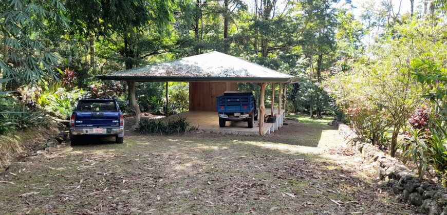 Botanical Paradise south of San Isidro