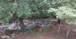 El Roble, abundant river, fruit trees and house