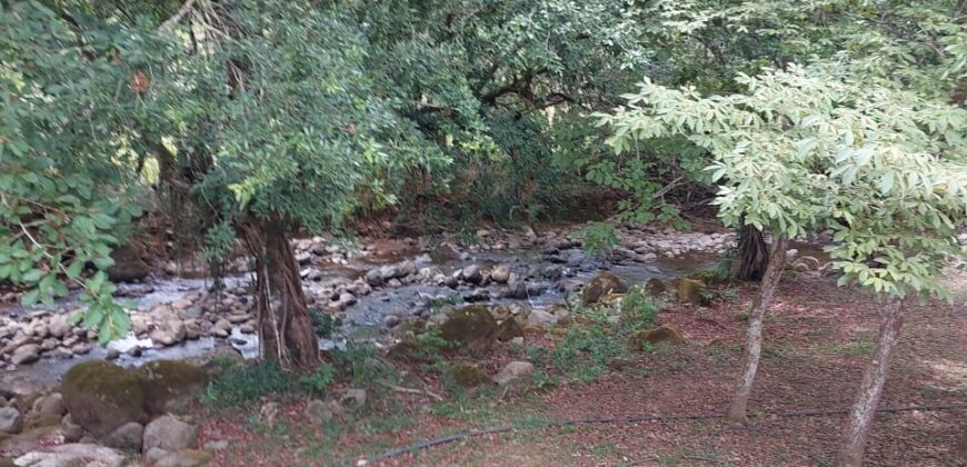 El Roble, abundant river, fruit trees and house