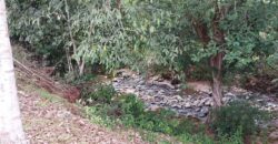 El Roble, abundant river, fruit trees and house