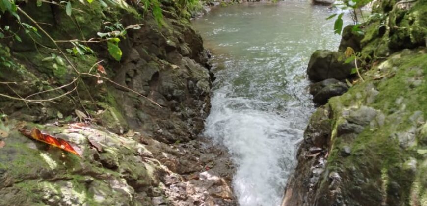 Rio Nuevo de Savegre/San Cayetano