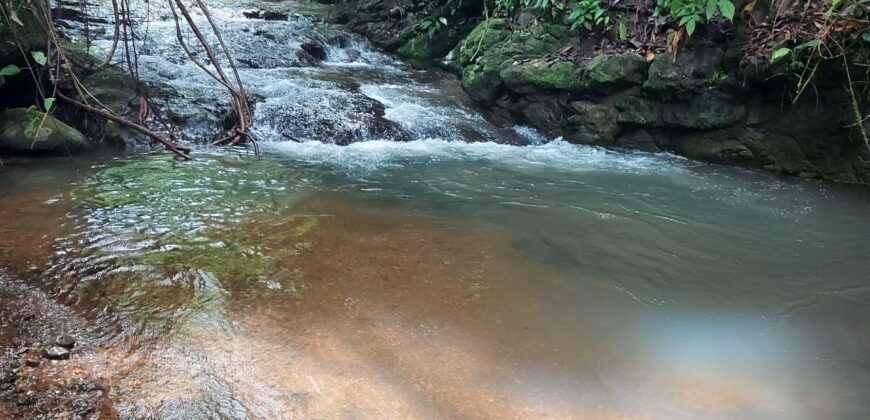 Beautiful Offgrid land with river in Platanillo