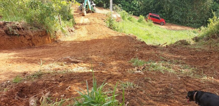 Beautiful Offgrid land with river in Platanillo