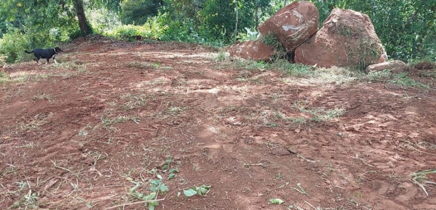 Beautiful Offgrid land with river in Platanillo