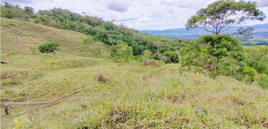 4.2Hcts pasture, mountain, beautiful views La Linda, PZ