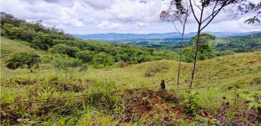 4.2Hcts pasture, mountain, beautiful views La Linda, PZ