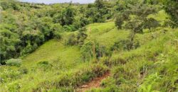 4.2Hcts pasture, mountain, beautiful views La Linda, PZ