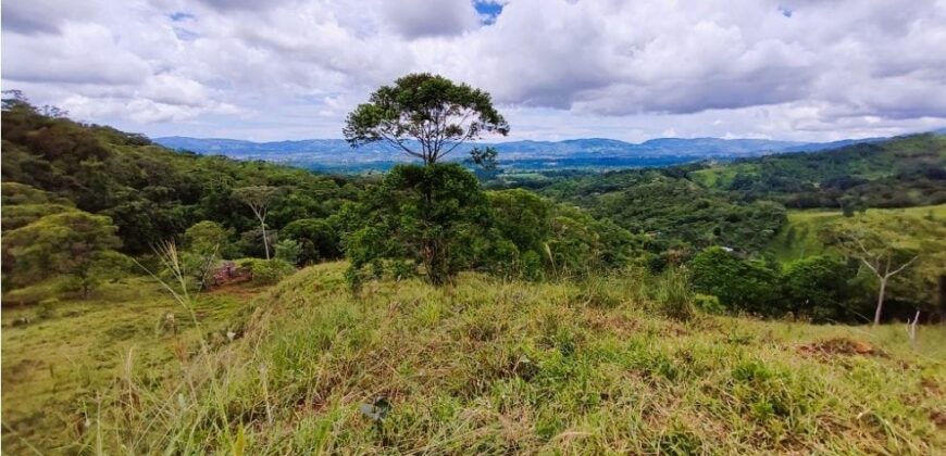 4.2Hcts pasture, mountain, beautiful views La Linda, PZ