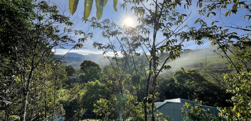 Permaculture Farm with a Tropical Home