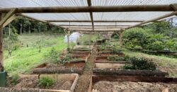 Permaculture Farm with a Tropical Home