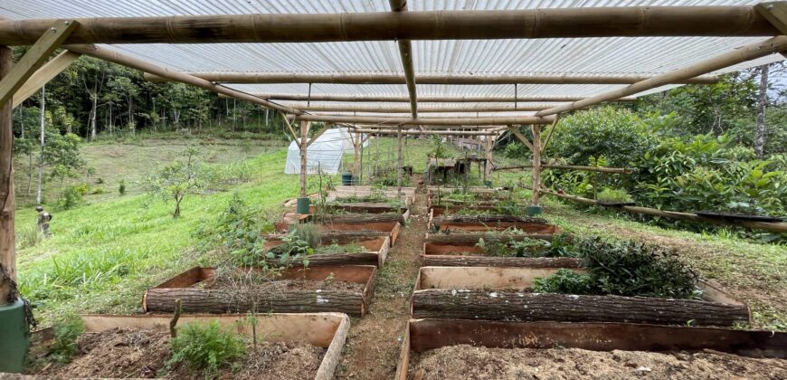 Permaculture Farm with a Tropical Home