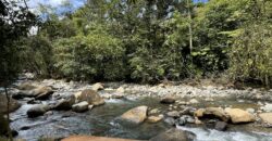 Permaculture Farm with a Tropical Home