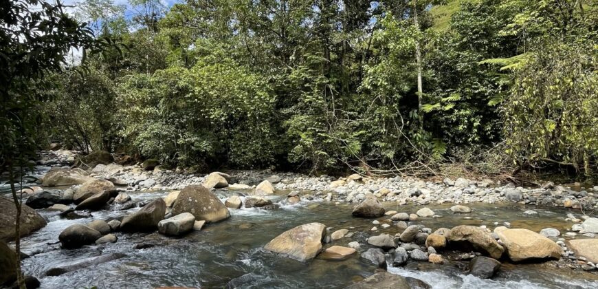 Permaculture Farm with a Tropical Home