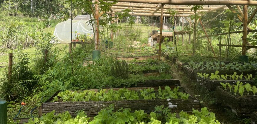 Permaculture Farm with a Tropical Home