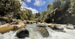 Permaculture Farm with a Tropical Home